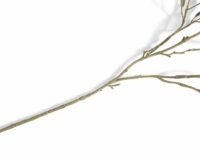 Olive Leaf Spray H82cm Kunstbloem - Afbeelding 3