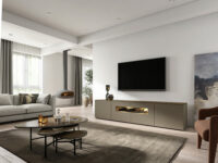 TV240-5 shadow pulpis