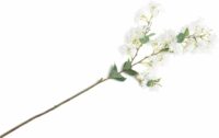 Jasmin Branch Kunstbloem H115cm - Wit