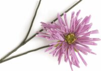 Dahlia Spider Spray Kunstbloem H75cm - Paars - Afbeelding 2