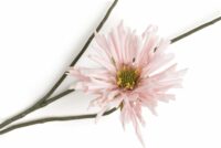 Dahlia Spider Spray Kunstbloem H75cm - Roze - Afbeelding 2