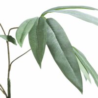 Eucalyptus Branch H95cm - Afbeelding 2
