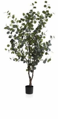 Eucalyptus Tree Plante Artificielle H180cm