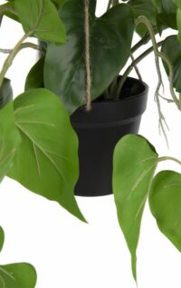 Philodendron Scandens H80cm Kunstplant - Afbeelding 4
