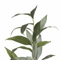 Eucalypthus Spray H93cm - Afbeelding 2