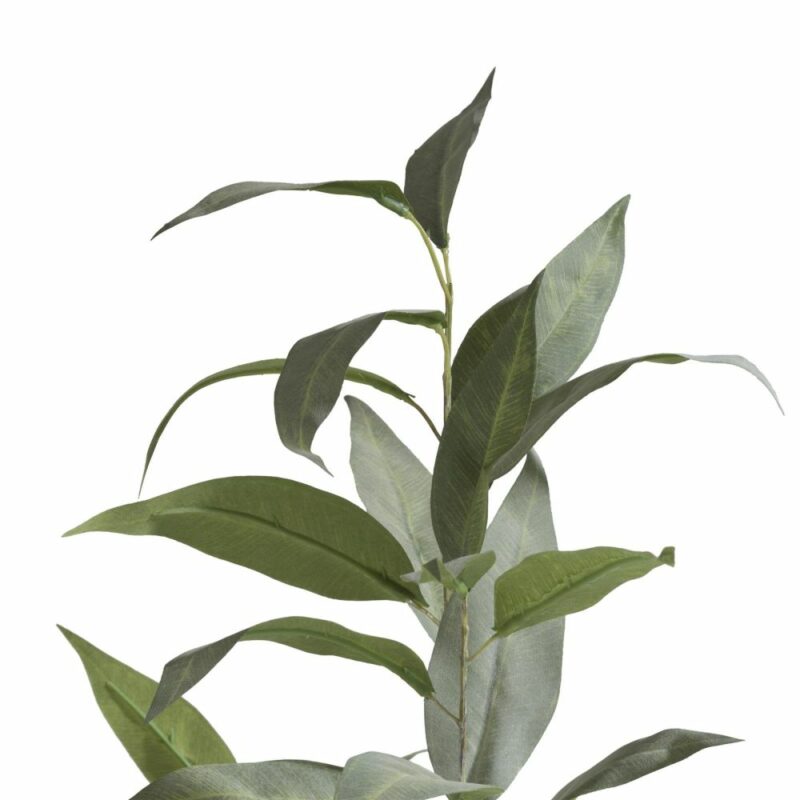 Eucalypthus Spray H93Cm - Afbeelding 2