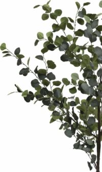 Eucalyptus Tree Plante Artificielle H180cm - Image 2