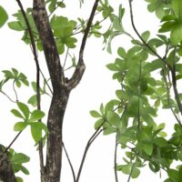Tropaeolum Plante Artificielle H210 - Image 3