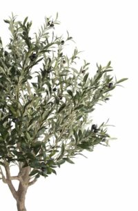 Olive Tree H180cm Plante Artificielle - Image 4