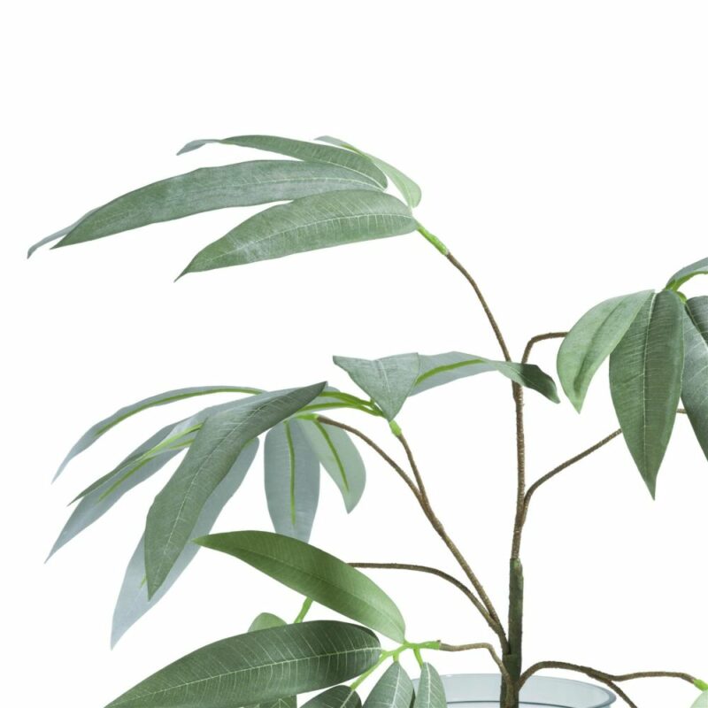 Eucalyptus Branch H95Cm - Afbeelding 3