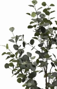 Eucalyptus Tree Plante Artificielle H140cm - Image 2