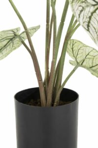 Caladium H60cm Plante Artificielle - Image 3