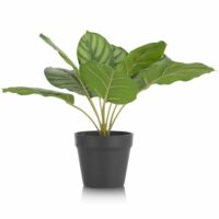 Calathea Orbifolia H45cm Kunstplant