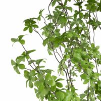 Tropaeolum Plante Artificielle H210 - Image 2