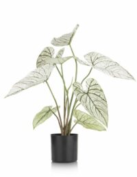 Caladium H60cm Plante Artificielle
