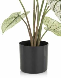 Caladium H60cm Plante Artificielle - Image 4