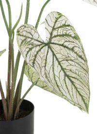 Caladium H60cm Plante Artificielle - Image 2