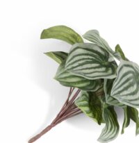 Peperomia Bush H25cm Kunstbloem