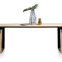Darwin, eetkamertafel 240 x 100 cm