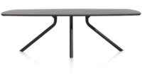 Arvada, tafel 250 x 110 cm. - ovaal - centrale poot lang - Onyx