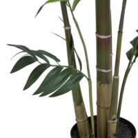 Kentia Palm plant H210cm - Vert - Image 3