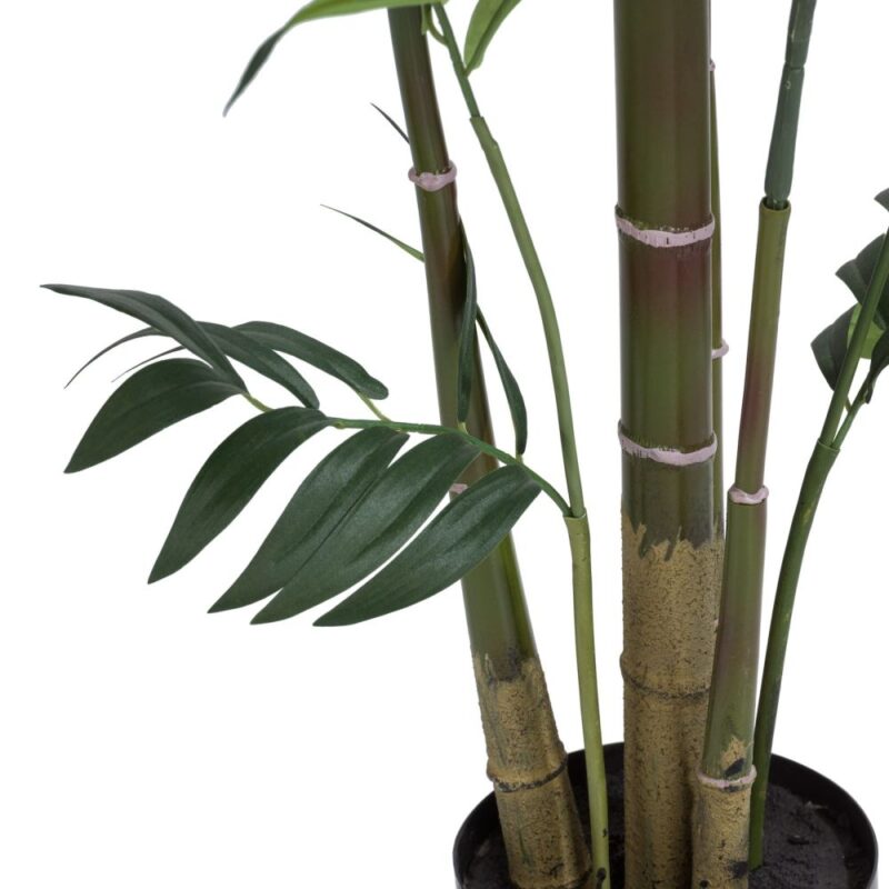 Kentia Palm Plant H210Cm - Vert - Image 3