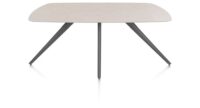 Saluti, TABLE OVAAL 180 X 105 CM. - 4-POOTJES - GRAPHIET - Light sand