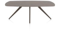 Saluti, TABLE OVAAL 210 X 105 CM. - 4-POOTJES - STEELBROWN - Lava