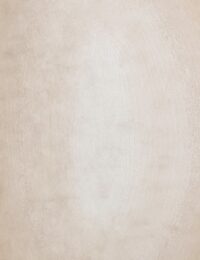 PRESSA KARPET 200X300CM - Afbeelding 3