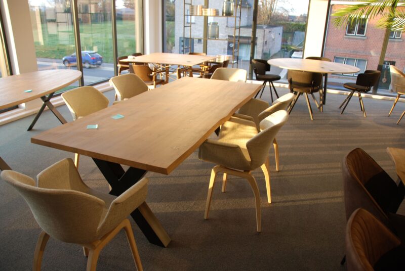 Soldenl@Meettafeleikboomstam - Image 1