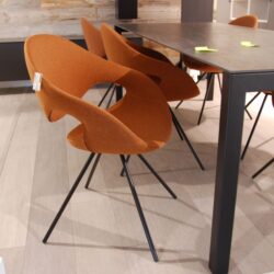 SOLDEN CHAISES TONON LUNE