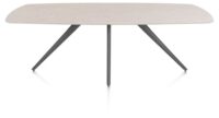 Saluti, TABLE OVAAL 240 X 110 CM. - 4-POOTJES - GRAPHIET - Light sand