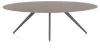 Saluti, TABLE ELLIPS 240 X 110 CM. - 4-POOTJES - GRAPHIET - Lava