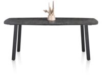 Palace, bartafel 210 x 110 cm - 4-poten (hoogte: 92 cm) - Antraciet