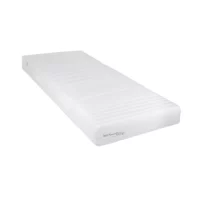 Matelas Latex Natural Anatomic 22