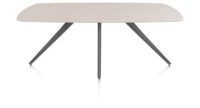 Saluti, TABLE OVAAL 210 X 105 CM. - 4-POOTJES - GRAPHIET - Light sand
