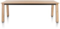 Delmonte, eetkamertafel 200 x 100 cm - Afbeelding 3