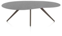 Saluti, TABLE ORGANISCH 210 X 120 CM. - 4-POOTJES - STEELBROWN - Anthracite