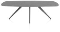 Saluti, TABLE OVAAL 240 X 110 CM. - 4-POOTJES - GRAPHIET - Anthracite