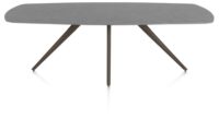 Saluti, TABLE OVAAL 240 X 110 CM. - 4-POOTJES - STEELBROWN - Anthracite