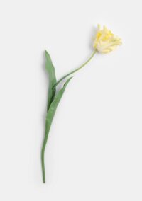 tulip parrot fleur artif. h68cm