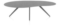 Saluti, TABLE ORGANISCH 240 X 120 CM. - 4-POOTJES - GRAPHIET - Anthracite