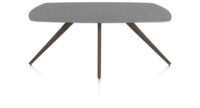 Saluti, TABLE OVAAL 180 X 105 CM. - 4-POOTJES - STEELBROWN - Anthracite