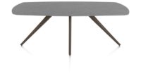 Saluti, TABLE OVAAL 210 X 105 CM. - 4-POOTJES - STEELBROWN - Anthracite