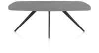 Saluti, TABLE OVAAL 210 X 105 CM. - 4-POOTJES - ROUGH OFF BLACK - Anthracite