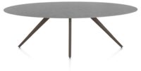 Saluti, TABLE ELLIPS 240 X 110 CM. - 4-POOTJES - STEELBROWN - Anthracite