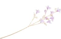 Bauhinia Branch H115cm kunstbloem - Paars