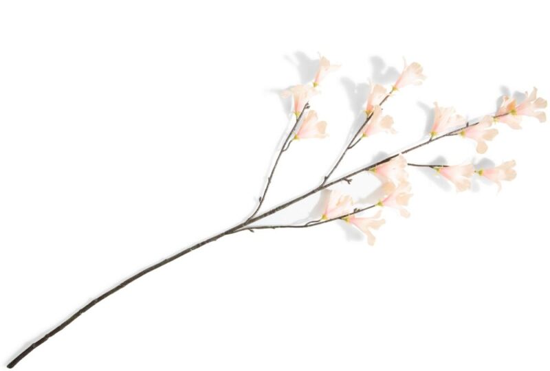 0Bb72C2060938A875Cc71Db6049B61Ec3Ee76C8B_Images_T_Ll_M_4B4114Fbb70F42Efbe698A1Aacc114B2_Image.jpg Hibiscus Branch H115Cm Kunstbloem - Oranje - Afbeelding 1