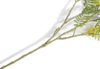 Mimosa Branch H110cm kunstbloem - Geel - Afbeelding 3