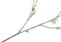 Ball Mum Spray H93cm - Rose - Image 3